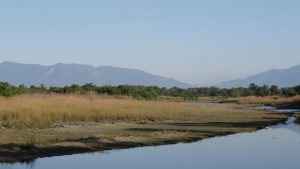 Parc National Bardia Népal