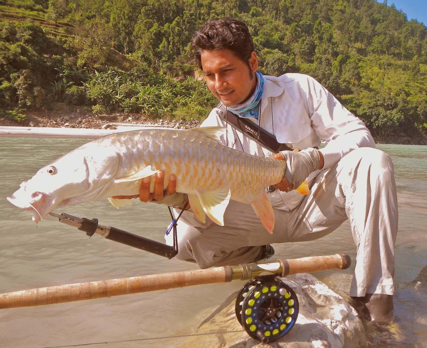 mahseer-1