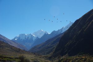 Trekking Népal Langtang