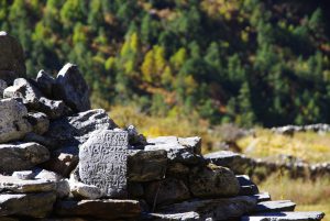 Trekking Népal Langtang