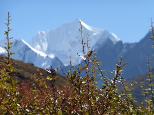 Trekking Népal Langtang