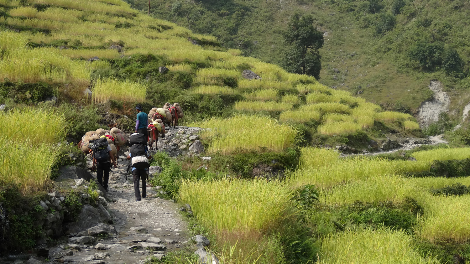 nepal-manaslu1