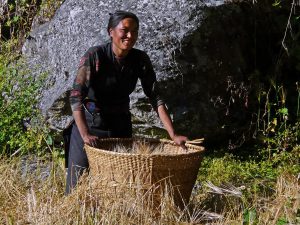 Trekking Népal Manaslu