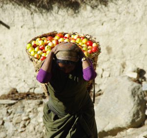 Trekking Népal Mustang